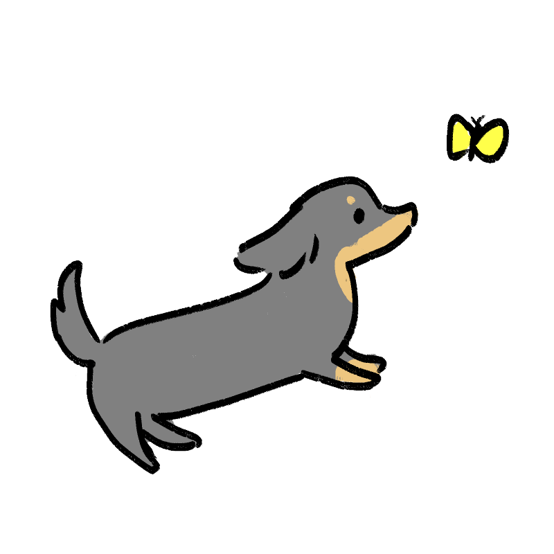 黄色蝶々と戯れるチャコの画像１