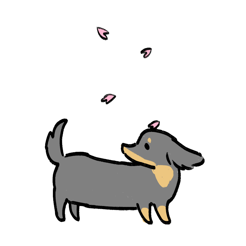 チャコと桜の画像その１