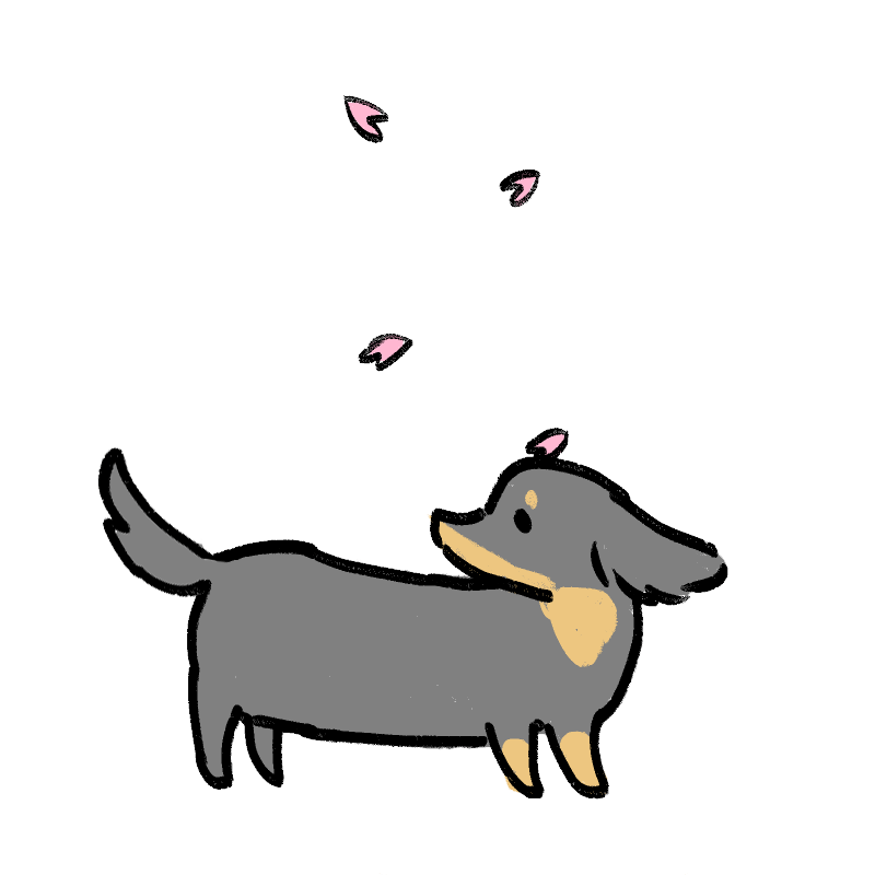 チャコと桜の画像その２