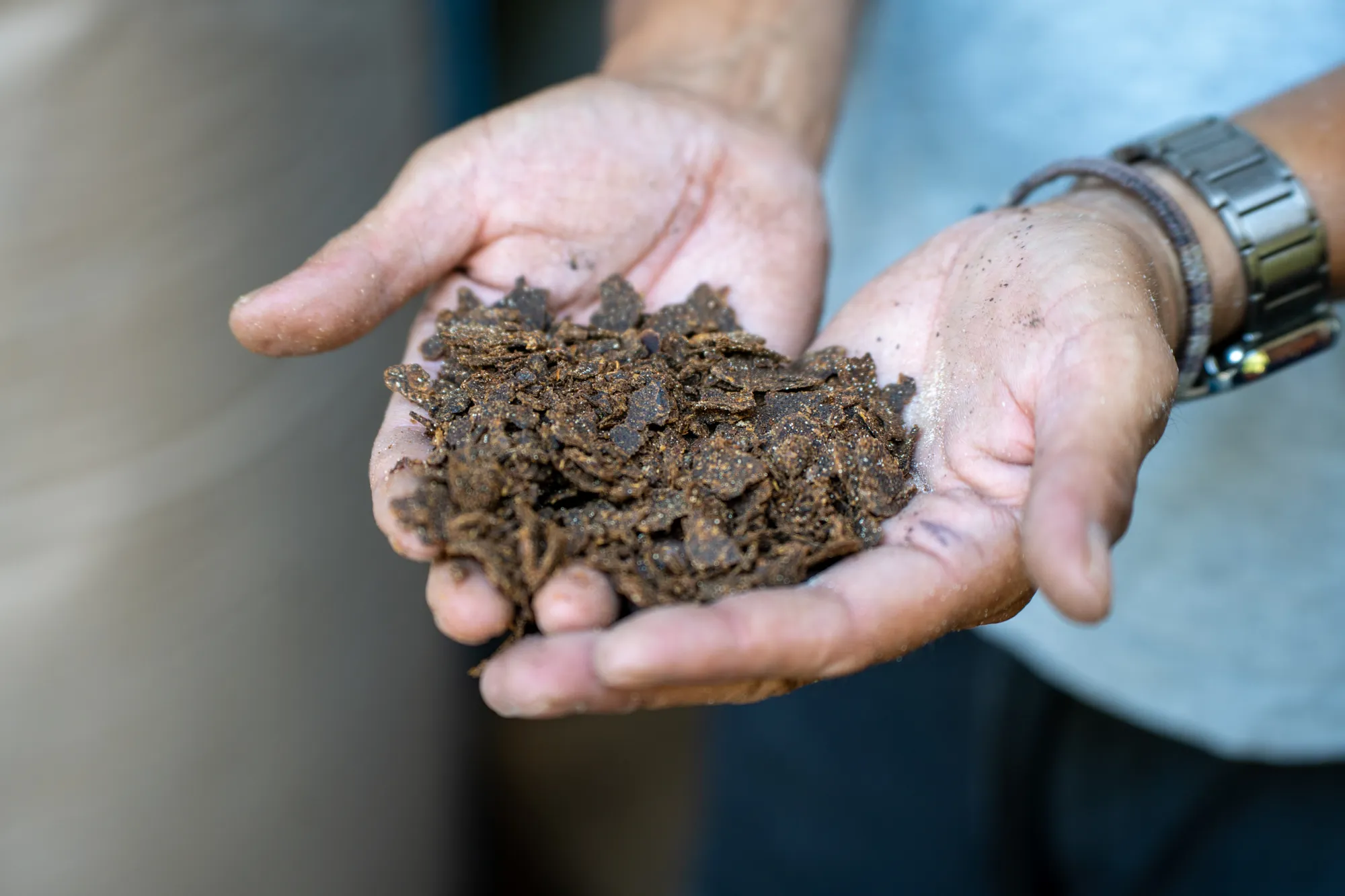 自然由来の肥料のイメージ画像