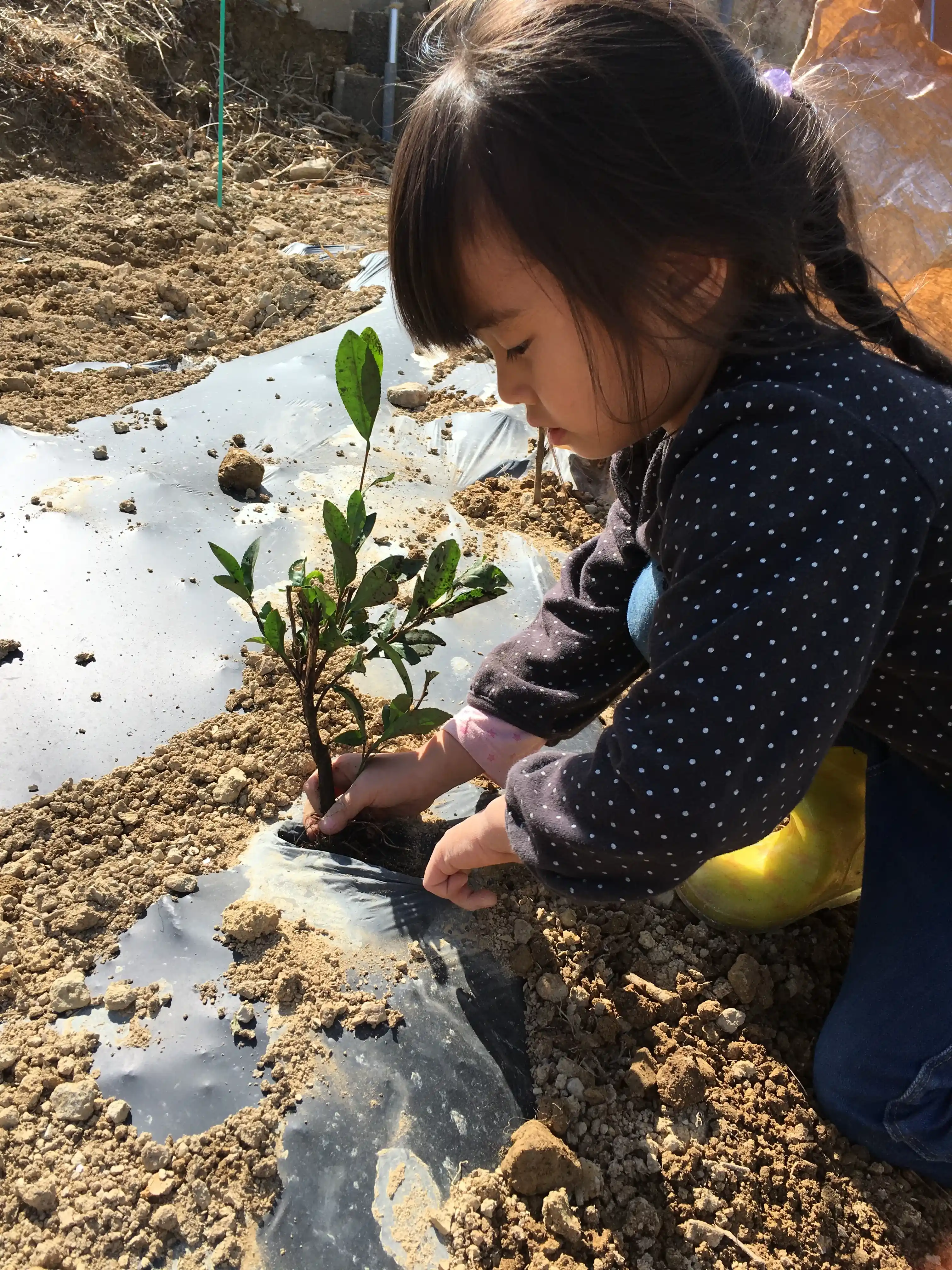 春のイメージ画像